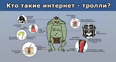 Злоупотребление интернет-троллями: вопрос &laquo;моральной паники&raquo;?