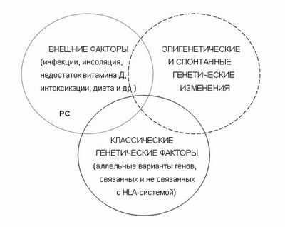 Исследование опровергает противоречивую теорию рассеянного склероза