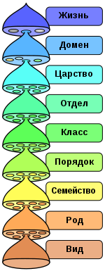 Крио-ЭМ изображения показывают, как ключевая биологическая машина раскрывает проблемные белки