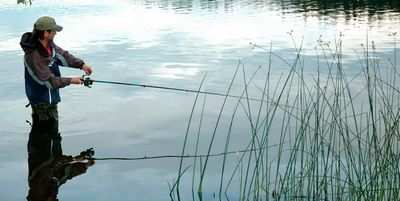 Рыбалка усиливает кормовую ловлю рыбы